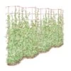 Tall Expandable Pea Trellis -Garden Care Store 8587062 0001 RED tall expandable pea trelis tif