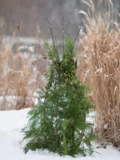 Jardin Pot Trellis 11 Jardin Pot Trellis -Garden Care Store 8587120 009 tif