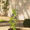 Jardin Pot Trellis -Garden Care Store 8587120 224 tif
