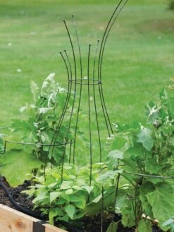 Jardin Pot Trellis 10 Jardin Pot Trellis -Garden Care Store 8587120 7037 tif