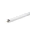 T5 Replacement Bulb -Garden Care Store 8587296 156 tif