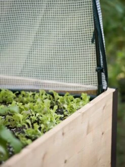 Elevated Planter Box, Frame And 2 Covers Kit, 2' X 8' 10 Elevated Planter Box, Frame And 2 Covers Kit, 2' X 8' -Garden Care Store 8587631 265 tif 2