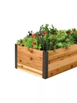 Deep Root Raised Beds, 14" Deep 2' Wide -Garden Care Store 8587798 001E 1