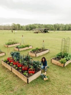 Deep Root Raised Beds, 14" Deep 4' Wide -Garden Care Store 8587813 505 tif