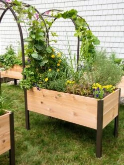 2’ X 4’ Arch Trellis For Planter Boxes -Garden Care Store 8587823 0490