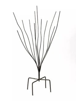 Bottle Bush -Garden Care Store 8588047 0697