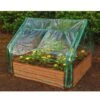 Extendable Cold Frame Greenhouse -Garden Care Store 8588247 03V extendable cold frame greenhouse