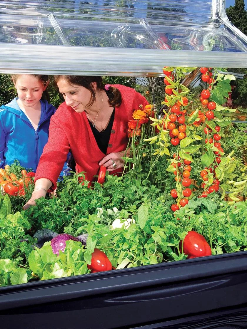 Canopia® By Palram Plant Inn™ Raised Bed Greenhouse, 4' X 4' 16 Canopia® By Palram Plant Inn™ Raised Bed Greenhouse, 4' X 4' - Image 14