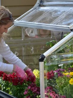 Canopia® By Palram Plant Inn™ Raised Bed Greenhouse, 4' X 4' 27 Canopia® By Palram Plant Inn™ Raised Bed Greenhouse, 4' X 4' -Garden Care Store 8588308 04V tif