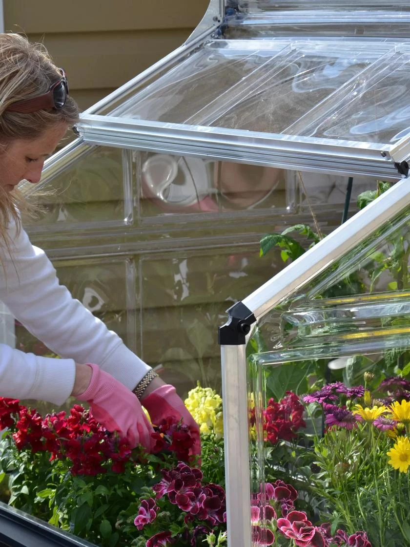 Canopia® By Palram Plant Inn™ Raised Bed Greenhouse, 4' X 4' 14 Canopia® By Palram Plant Inn™ Raised Bed Greenhouse, 4' X 4' - Image 12