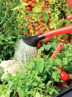 Canopia® By Palram Plant Inn™ Raised Bed Greenhouse, 4' X 4' 24 Canopia® By Palram Plant Inn™ Raised Bed Greenhouse, 4' X 4' -Garden Care Store 8588308 06V tif