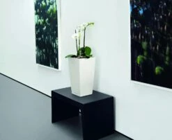 Lechuza® Cubico Color Tall Self-Watering Planters -Garden Care Store 8589485 03V tif