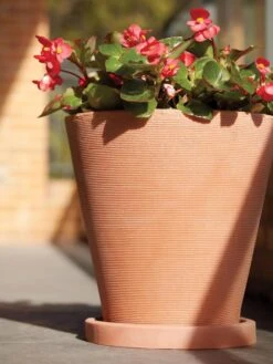 Universal Round Planter Saucers -Garden Care Store 8589526 001V tif