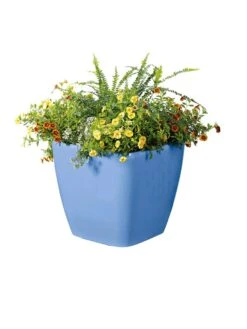 Viva Square Self-Watering Rolling Planter, 14" Diameter 9 Viva Square Self-Watering Rolling Planter, 14" Diameter -Garden Care Store 8589777BL 6080 tif