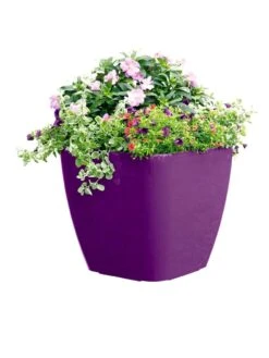 Viva Square Self-Watering Rolling Planter, 17.5" Diameter 9 Viva Square Self-Watering Rolling Planter, 17.5" Diameter -Garden Care Store 8589778PR 6126 tif