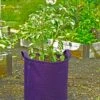 Gardener's Best® Potato Grow Bag 1 Gardener's Best® Potato Grow Bag -Garden Care Store 8589785PR 4191 potato grow bags with handles tif