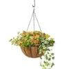 AquaSav™ Oxford Hanging Basket, 14" 1 AquaSav™ Oxford Hanging Basket, 14" -Garden Care Store 8589789 028 tif