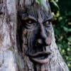 Friendly Ent Tree Face -Garden Care Store 8589841 001v