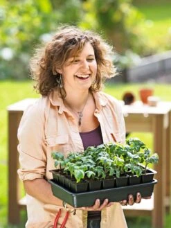 Growease Seed Starter Kit -Garden Care Store 8589987 0446 tif