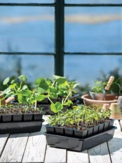 Growease Seed Starter Kit -Garden Care Store 8589987 7871 tif