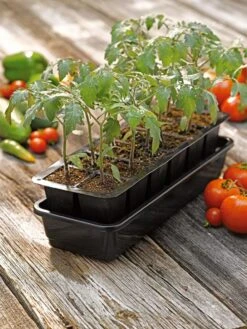 Growease Seed Starter Kit -Garden Care Store 8589988 1056 tif