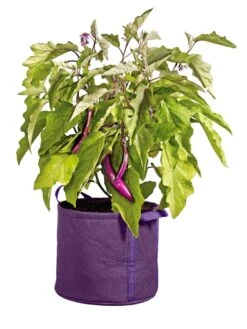 Gardener's Best® Universal Grow Bag 12 Gardener's Best® Universal Grow Bag -Garden Care Store 8590024PR 214 tif