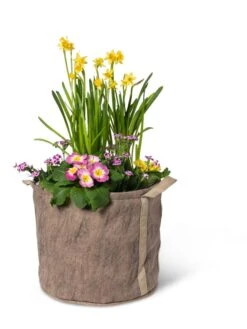 Gardener's Best® Universal Grow Bag 15 Gardener's Best® Universal Grow Bag -Garden Care Store 8590024 7307 tif