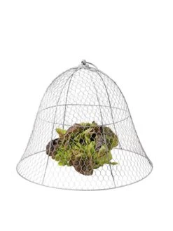 Chicken Wire Cloche -Garden Care Store 8590210 675 tif