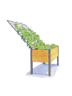 Elevated Planter Box And Space-Maker Pivoting Trellis Set, 2' X 4' -Garden Care Store 8590247 SMTrellis 4ft tif 1