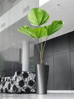 Lechuza® Delta Premium Self-Watering Planters 13 Lechuza® Delta Premium Self-Watering Planters -Garden Care Store 8590299 02V tif