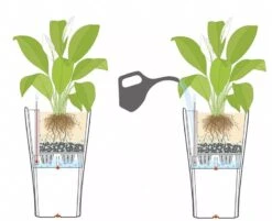 Lechuza® Delta Premium Self-Watering Planters 11 Lechuza® Delta Premium Self-Watering Planters -Garden Care Store 8590299 07V tif