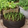 Garlic Grow Bag Kit -Garden Care Store 8590676 0072 growing garlic grow bag kit