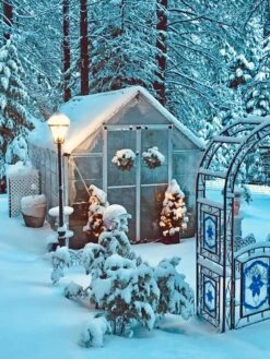 Canopia® By Palram Harmony™ Snap & Grow Greenhouse, 8' -Garden Care Store 8591048 06V jpg