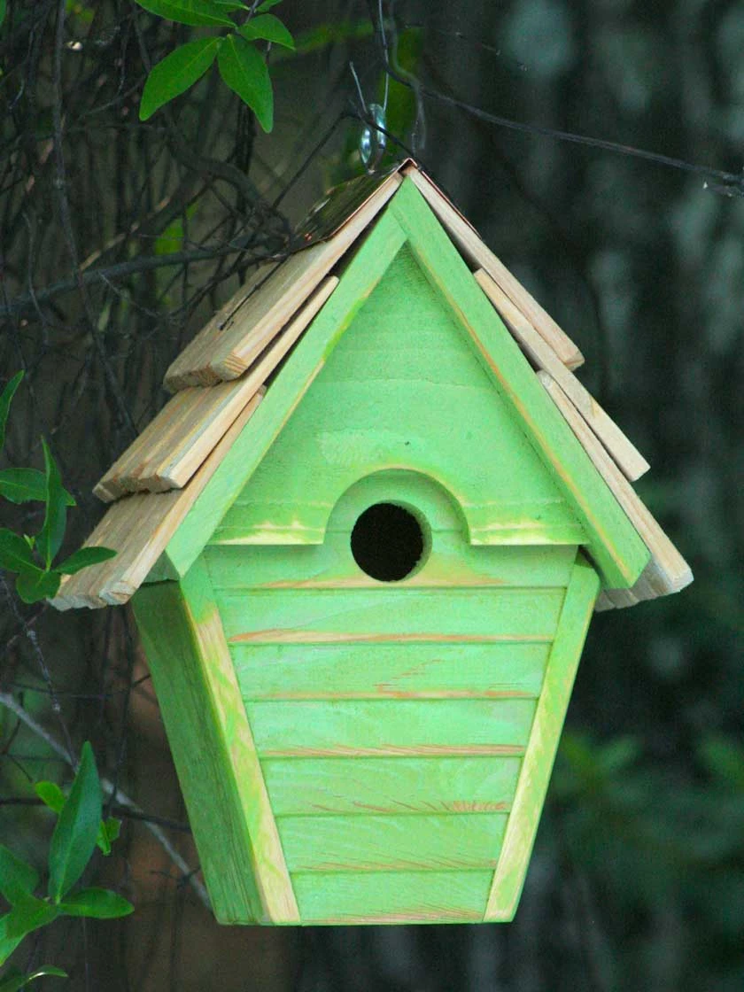 Heartwood Wren-in-the-Wind Bird House 9 Heartwood Wren-in-the-Wind Bird House - Image 7