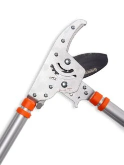 Telescoping Ratchet Loppers -Garden Care Store 8591285 025 tif