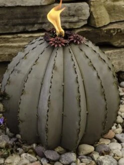 Desert Steel Golden Barrel Cactus Torches -Garden Care Store 8591454 01V tif
