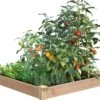 Cedar Raised Garden Bed, 4' X 4' X 6" -Garden Care Store 8591724 01V tif