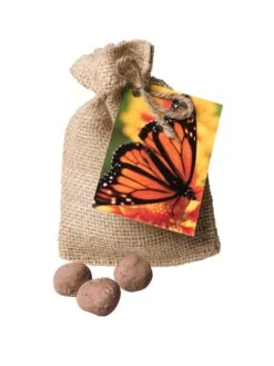 Monarch Butterfly Seed Balls