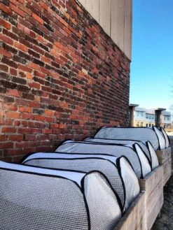 Row Shelter Accelerator 11 Row Shelter Accelerator -Garden Care Store 8591990 01IN tif