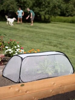 Row Shelter Accelerator 10 Row Shelter Accelerator -Garden Care Store 8591990 2182 tif