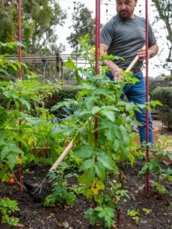 Gardener's Lifetime Long-Handled Double Tool 8 Gardener's Lifetime Long-Handled Double Tool -Garden Care Store 8592107 2481 tif