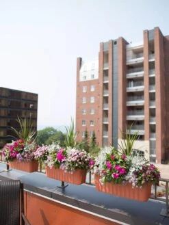 Adjustable Self-Watering Railing Planter, 24" -Garden Care Store 8592173TC 2383 tif