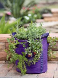 Gardenerās BestĀ® Strawberry And Herb Grow Bag