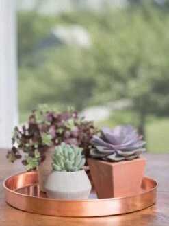 Large Round Copper Plant Tray, 14" 13 Large Round Copper Plant Tray, 14" -Garden Care Store 8593531 4518 tif