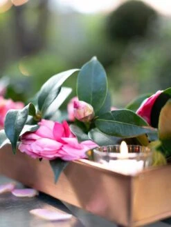 Rectangular Copper Plant Tray, 18"x4" 9 Rectangular Copper Plant Tray, 18"x4" -Garden Care Store 8593532 02IN tif