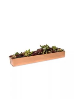 Rectangular Copper Plant Tray, 18"x4" 8 Rectangular Copper Plant Tray, 18"x4" -Garden Care Store 8593532 2892 tif