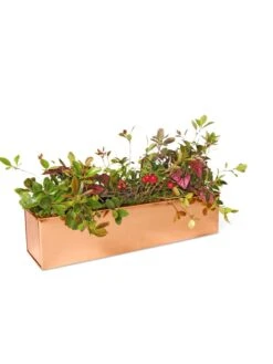 Tall Rectangular Copper Plant Tray, 18" X 5" X 4" -Garden Care Store 8593534 2899 tif