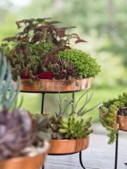 Small Round Copper Plant Tray, 10" -Garden Care Store 8593564 4399 tif