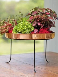 Large Round Copper Plant Tray, 14" 14 Large Round Copper Plant Tray, 14" -Garden Care Store 8593567 4636 tif