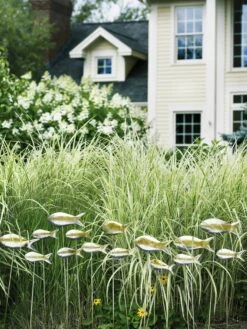 Fish Out Of Water Garden Stakes, Set Of 5 -Garden Care Store 8593672 9124 tif